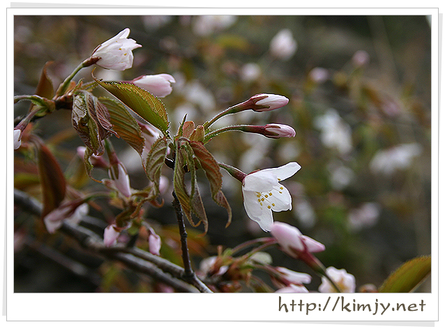 080420_궁금2_1.jpg