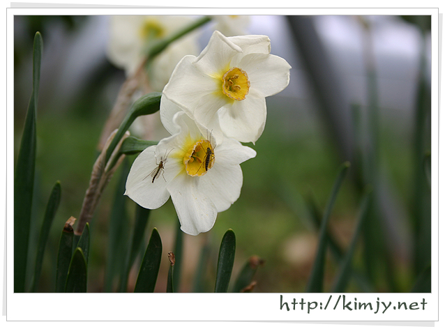 080420_궁금6_2.jpg